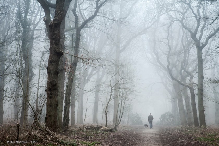 Wandelen met de hond