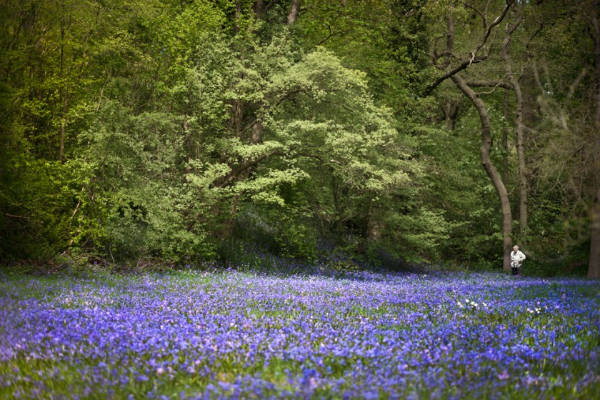 Ondanks de drukte bij de fietsenstalling nauwelijks mensen te zien