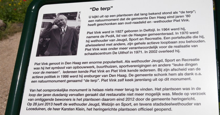 Zoals "De Terp" er nu uit ziet, een zee van (deels wilde) bloemen.