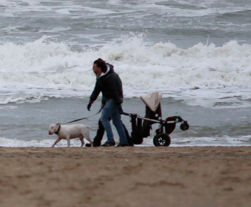 Pitbull Uitlaatclub _MG_7162A
