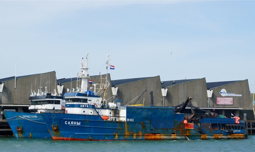 Russische schepen in Scheveningse haven. Foto door Roel Wijnants.