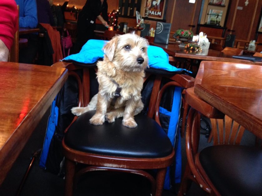 Hier ben ik dan, uw nieuwe columnist!