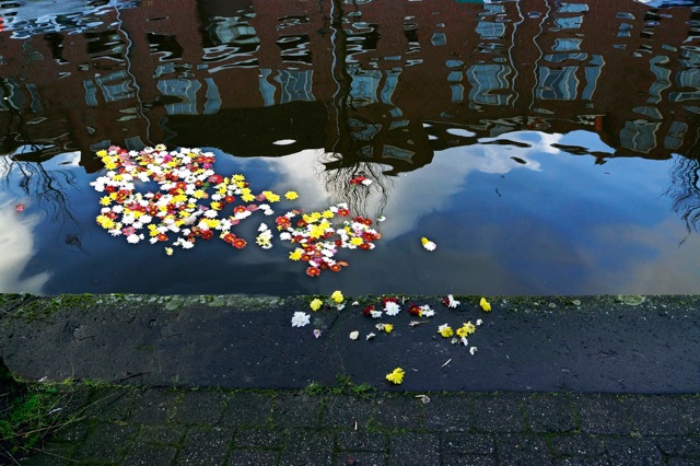 Hindoestaanse offerbloemen. Foto door Roel Wijnants.