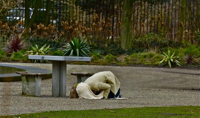 Foto door Roel Wijnants.