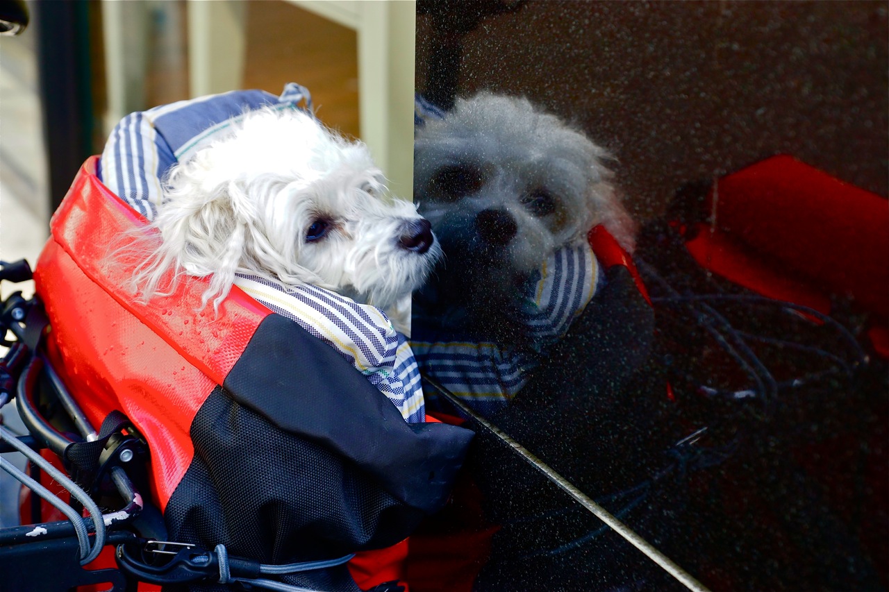 14167305813_7ae8cd0312_o