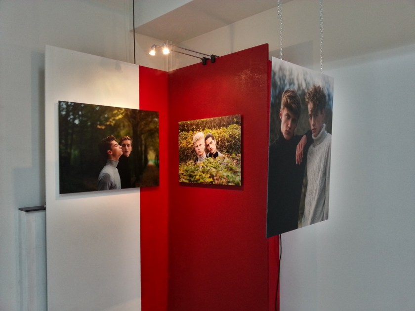 Jesse Budel - Beautiful Boys, Fabulous Feathers