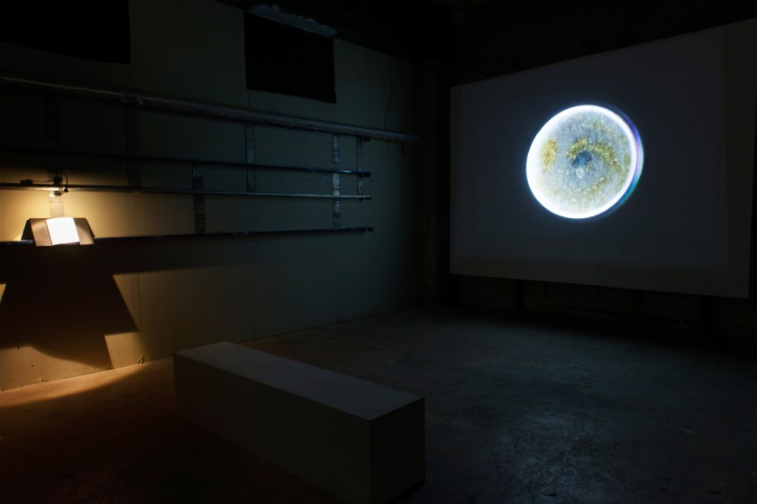 Maya van Wingerden - Marsdiep