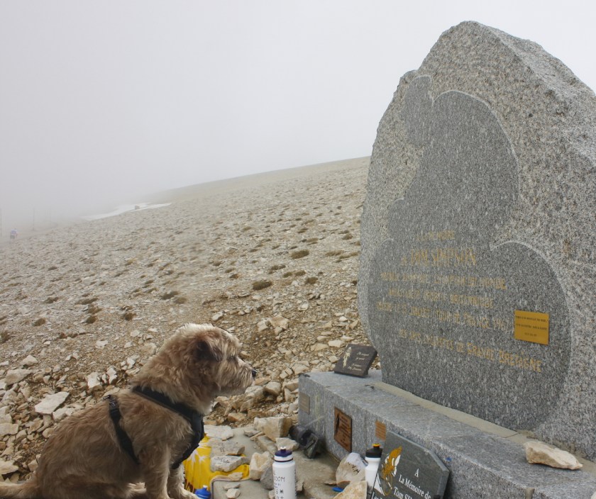 tommy van beek bij het monument van tommy simpson. foto:  boris doesborg