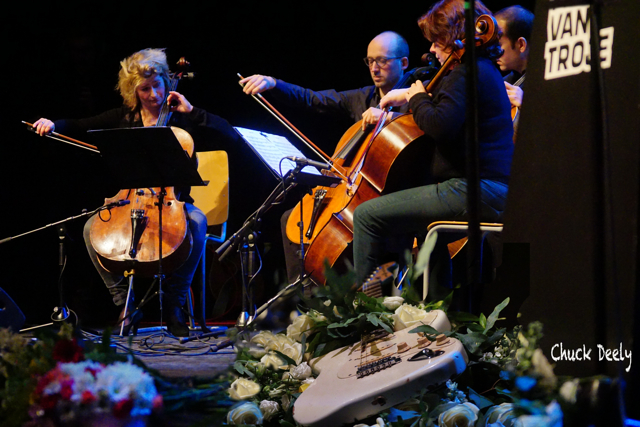 Het Couperus Cello Kwartet