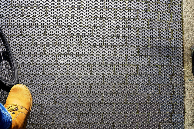 41428093432_75577f308e_z